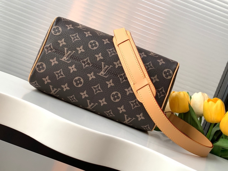 LV Speedy Bags